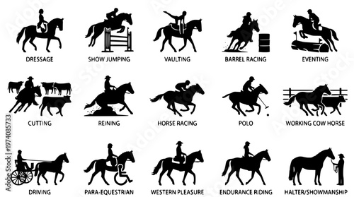 Various equestrian sports and activities illustration set for designers