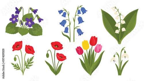 Vibrant collection of classic spring flowers like violets, bluebells, lily of the valley, poppies, tulips, and snowdrops, ideal for naturethemed projects and seasonal decor.