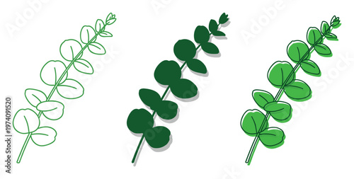 Botanical eucalyptus branches and leaves featuring outline, solid dark green, and vibrant green filled styles for natural graphic resources and decorative design applications