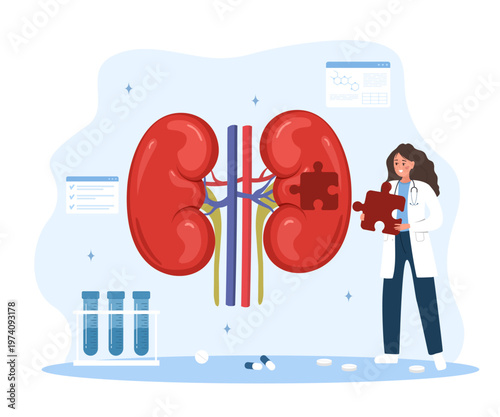 Kidney treatment and diagnosis concept. Female doctor with large puzzle. Internal organ health. Medical illustration for renal disease or therapy. Vector in flat cartoon style.