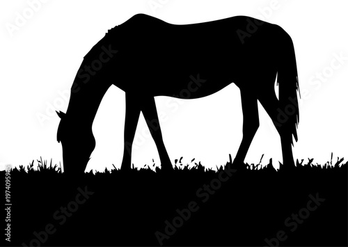Black Silhouette of a Horse Grazing in a Field of Grass Vector Graphic Isolated on White Background