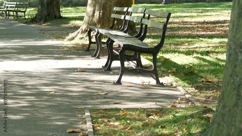 Wooden bench in Central Park of New York City, United States. Green oasis in Manhattan, USA. Defocused greenery. Shadow in public park on summer or fall day.