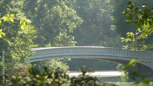 New York City Central Park nature oasis. Bow Bridge and lake in summer day, United States. Pond water and greenery in morning light. Autumn fall leaves and Manhattan architecture landmark of NYC, USA.