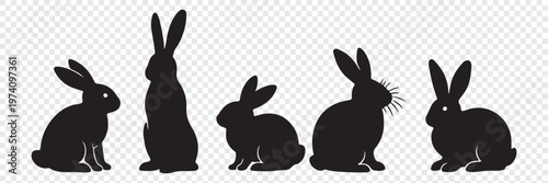 Four bunny  silhouettes.  Black rabbit silhouette collection showing cute bunny poses sitting standing and resting isolated on white background vector illustration for animal design 
