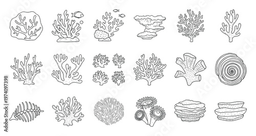 Collection of diverse coral reef organisms and marine plants in outline drawings perfect for educational resources and ocean environment projects
