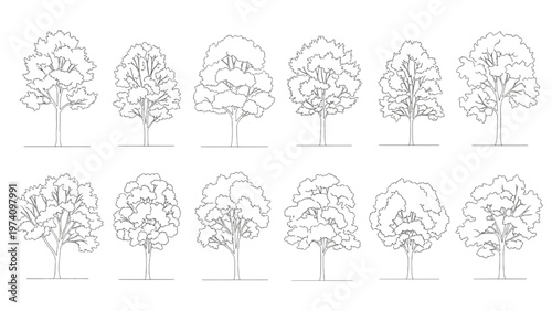 Outline vector illustrations of diverse trees, perfect for architectural renders and graphic design assets
