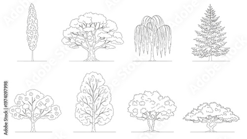 Outline illustrations of various types of trees for design