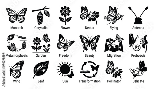 Collection of butterfly and moth life cycle stages with natural elements depicting monarch metamorphosis transformation pollination and freedom for educational nature ecology projects