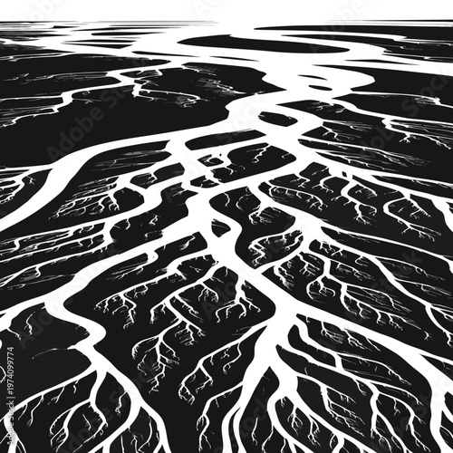 Abstract river delta vector illustration, black and white aerial landscape pattern, organic branching water channels, topographic nature background