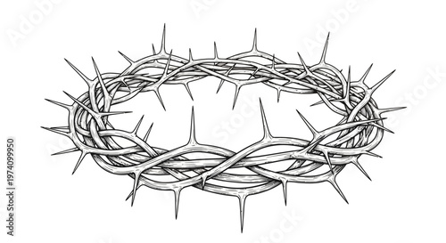 Crown of thorns on metal wire.
