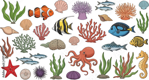 Colorful Ocean Creatures on White Background
