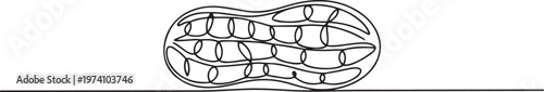 One single line drawing of whole healthy organic peanut for farm logo identity, one line art icon drawing vector