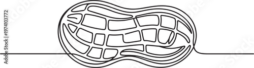 One single line drawing of whole healthy organic peanut for farm logo identity, one line art icon drawing vector