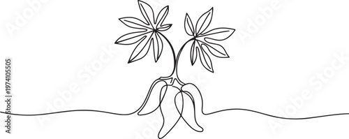 Single continuous line drawing of whole healthy organic cassava for plantation logo identity. one line art icon drawing vector
