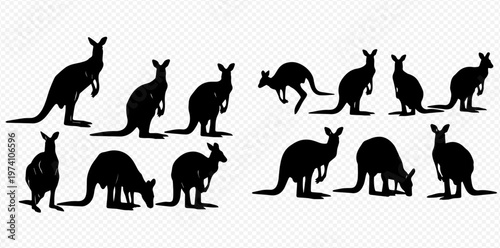 Collection of various kangaroo silhouettes in different poses, showcasing their unique movements and forms.