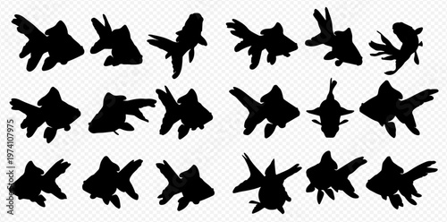 Set of black goldfish silhouettes on a transparent background, depicting various swimming positions and fin types for aquatic design elements.