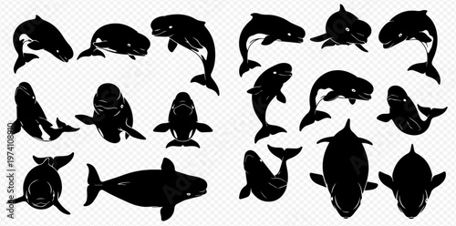 Set of black silhouettes of pilot whales and killer whales on a transparent background, vector illustration.