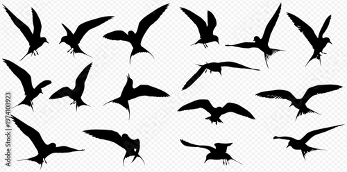 Collection of black bird silhouettes in various flight poses on a transparent background.