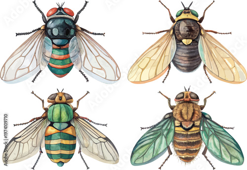 set of Watercolor Horsefly, Large Fly Insect Clipart, vector illustration isolated on white background