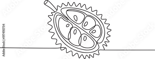 Single continuous line drawing of half sliced healthy organic durian for orchard. one line art icon drawing vector