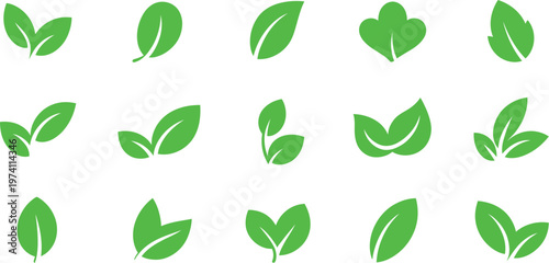 Green leaf icons set isolated on white background for natural eco vegan bio labels elements design vector illustration nature concept