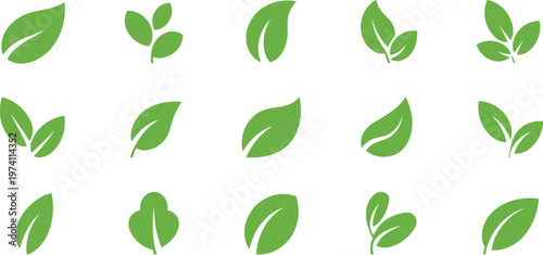 Green leaf icons on isolated background representing natural eco vegan bio labels vector illustration elements for sustainable design