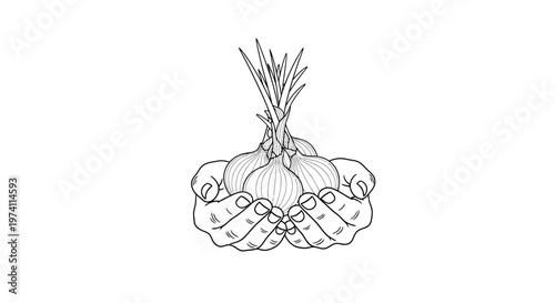 Hands gently cradling a cluster of freshly harvested garlic bulbs