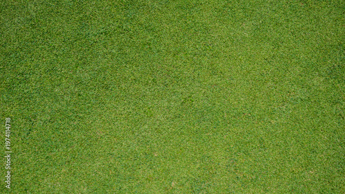 Green grass background, top view background of garden bright grass concept used for making green backdrop.