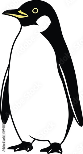 Penguin standing upright on white background with yellow beak