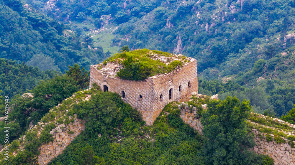 Obraz premium Morning view of the Great Wall in Laiyuan, Hebei Province, China, winding across green mountain ridges under soft light.