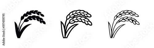 Rice Stalk Icons Set. Agricultural Crop, Cereal Grain, Harvest Symbol Vector Illustration.