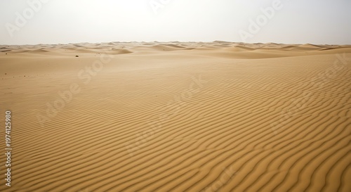 Whispers of the Shifting Sands