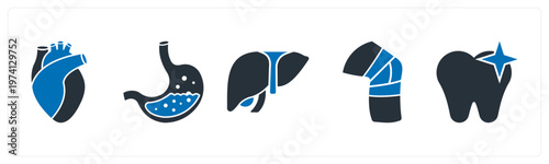 A set of 5 mix icons as heart, stomach, liver