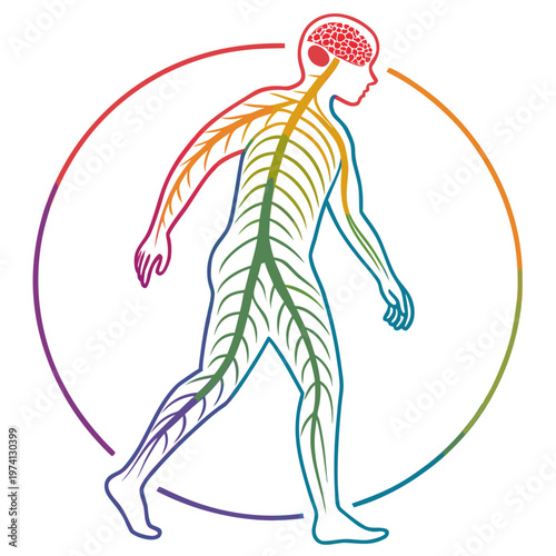 Human nervous system outline with brain and nerves, in a circular frame, showing connection between human body and surrounding environment in colors.