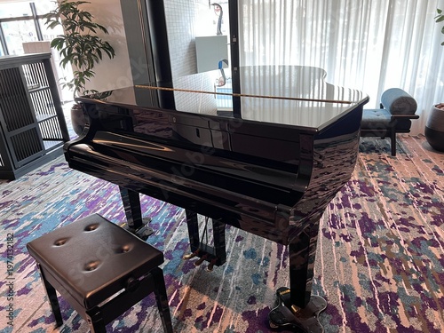 広くて明るい部屋にあるグランドピアノ