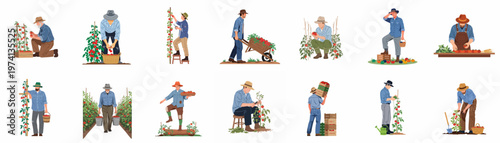 Collection of male farmers harvesting ripe red tomatoes in garden and field settings, presented in a flat vector illustration style.