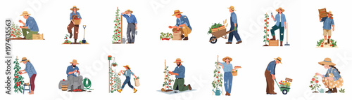 Collection of diverse farmers and gardeners harvesting, planting, and tending to tomato plants in various gardening activities, isolated on white background.
