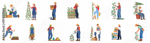 Set of diverse farmers and gardeners harvesting, watering, and caring for tomato plants in a flat illustration style