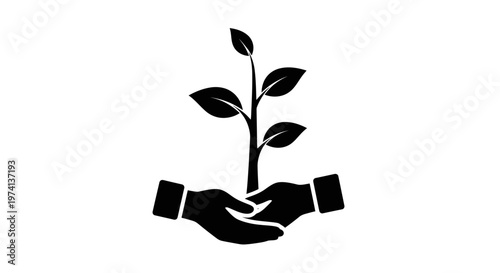 Hand holding a small green plant.