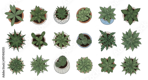 Overhead View of Assorted Succulent Plants in Decorative Pots.