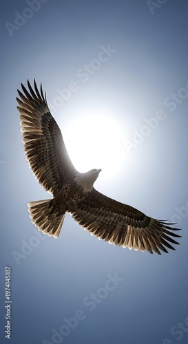 Majestic Eagle Soaring High Above the Clouds.