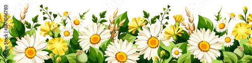 Horizontal seamless border with white and yellow daisy flowers, chamomile flowers, dandelion flowers, green grasses, and herbs. Vector floral background with wild flowers