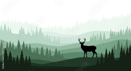Deer stands on hill overlooking forest landscape with trees and rolling hills in background.