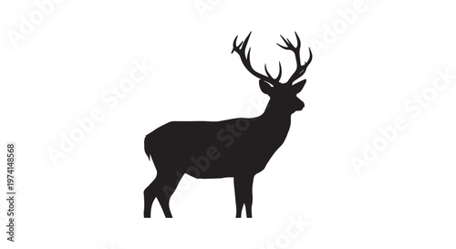 Black bull rearing up with powerful stance against a plain white background showcasing strength and dominance