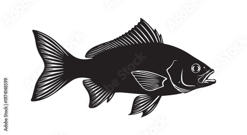 A majestic black bird of prey soaring against the sky with striking detail and elegance