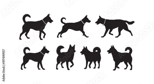 Silhouettes of galloping horses showcasing dynamic motion and artistic design