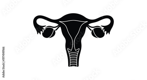 Female reproductive system illustration showcasing uterus and ovaries black silhouette