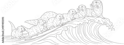 Seals Riding Wave Ocean Surf