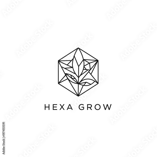 Minimal Geometric Hexagon Logo With Growing Plant For Nature Brand Identity.