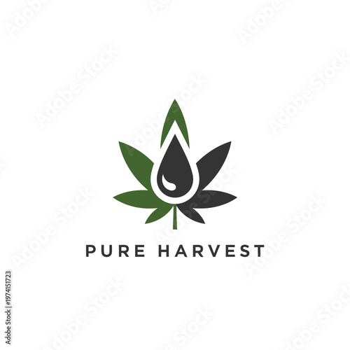 Pure Harvest Cannabis Oil Logo With Leaf And Droplet Emblem For Wellness Branding.